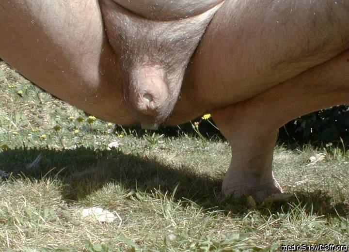 Adult image from medir