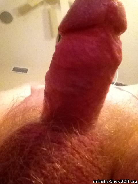 Adult image from Mrfrisky