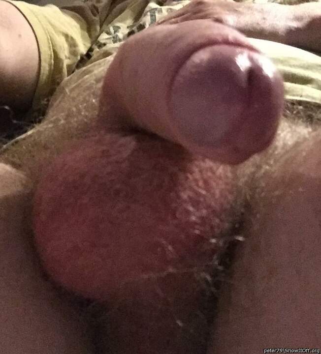 Adult image from peter79