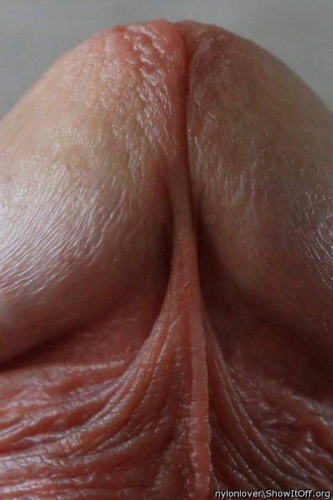 Adult image from nylonlover