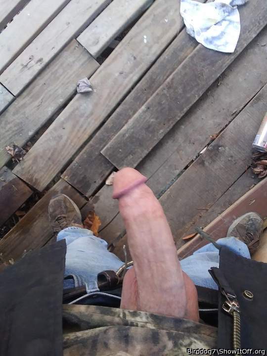 Adult image from Birddog7
