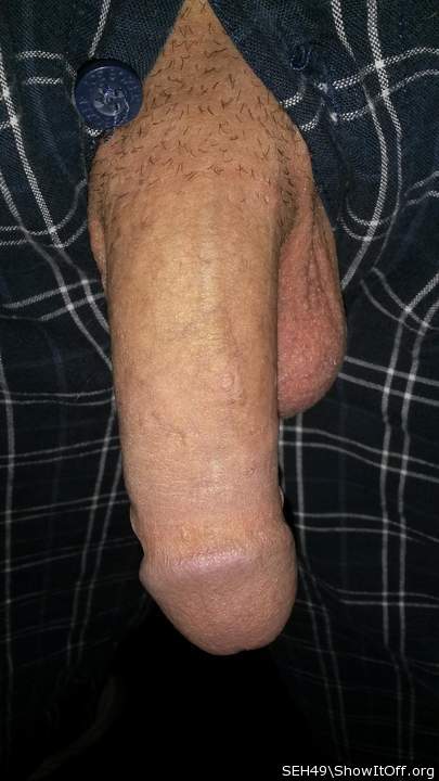Adult image from SEH49