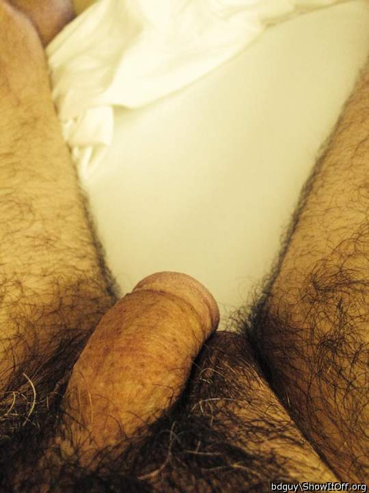 Adult image from bdguy