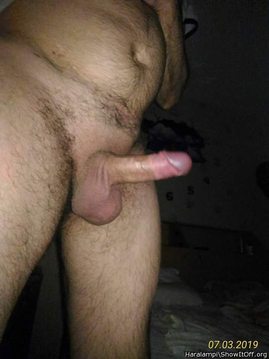 Adult image from Haralampi