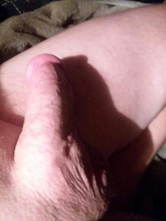Adult image from fish4free
