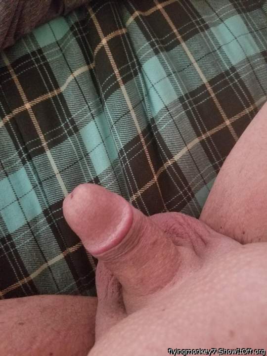 Adult image from flyingmonkey7