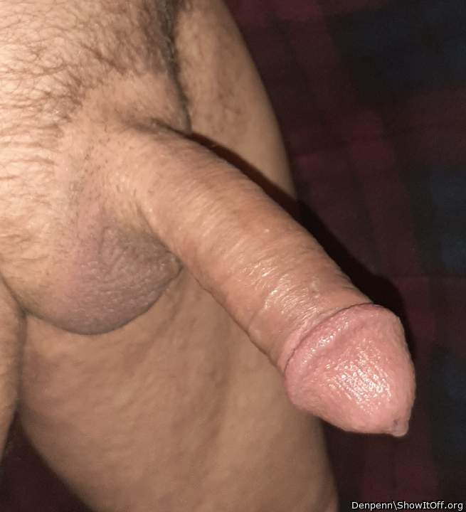 Adult image from Denpenn