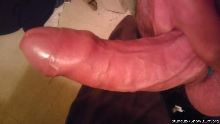 Adult image from ptuncutx