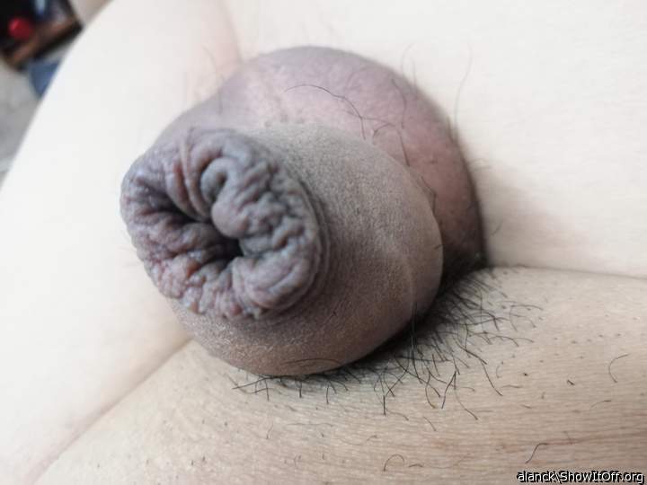 Adult image from alanck