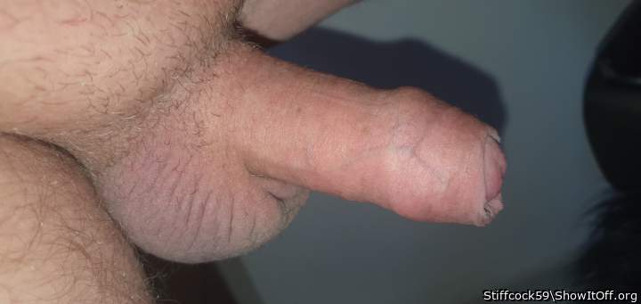 Adult image from Stiffcock59