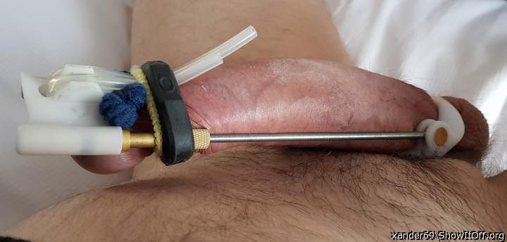 Adult image from xander69