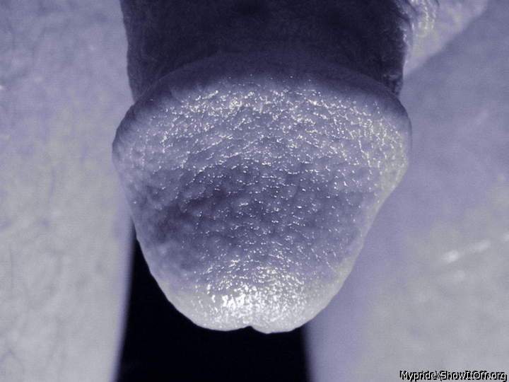 Adult image from Mypride