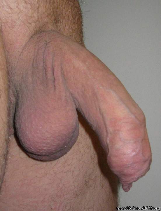 My penis!