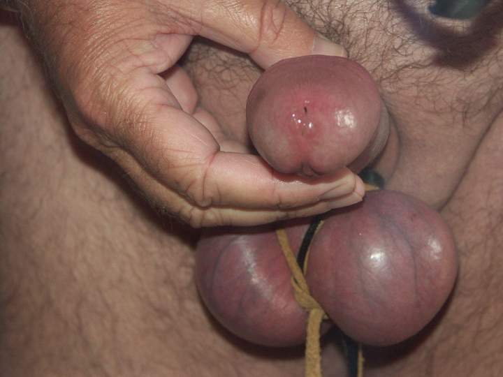 Adult image from man19