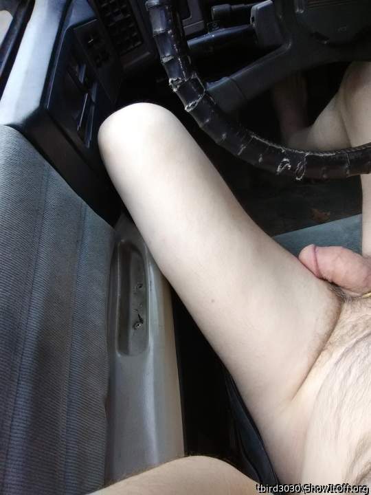 Adult image from tbird3030