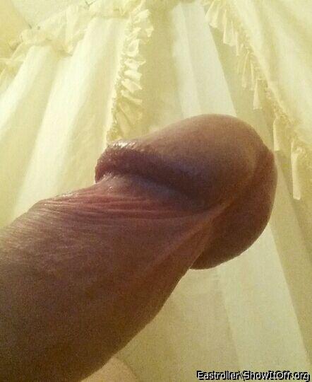 Adult image from *Humpy_Rugmuncher