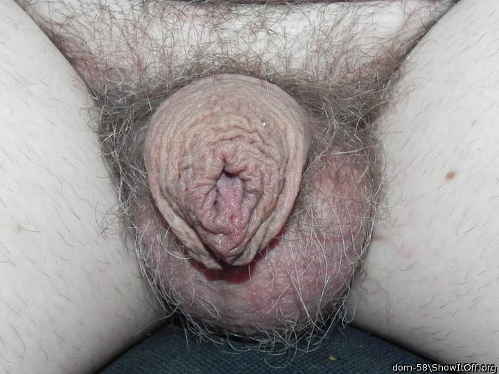 Adult image from dom-58