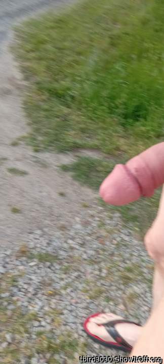 Adult image from tbird3030