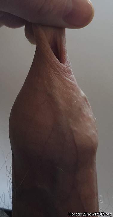 Adult image from Horatio