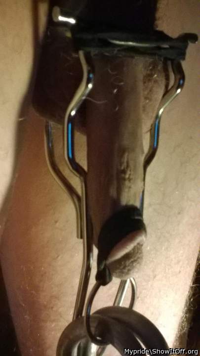 Adult image from Mypride