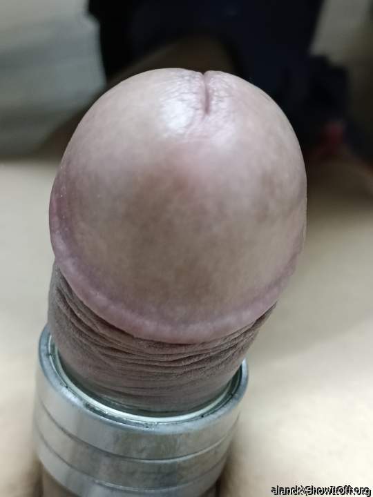 Adult image from alanck