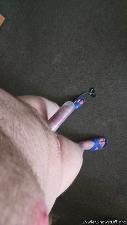 Adult image from Zywie