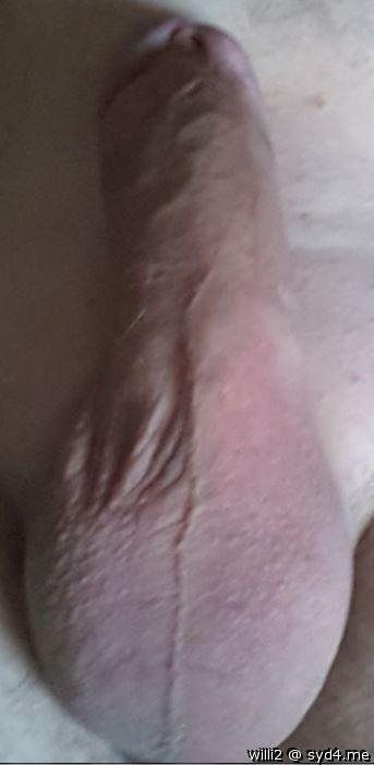 Adult image from WILLI2