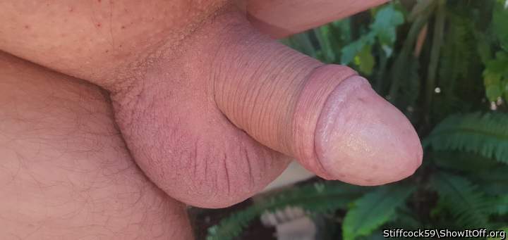 Adult image from Stiffcock59