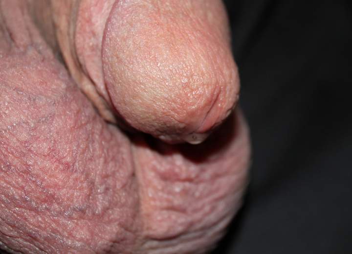 Adult image from lilsoftee