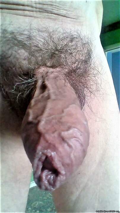 Adult image from Ade59