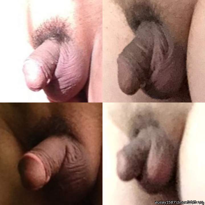 Adult image from eusay1587