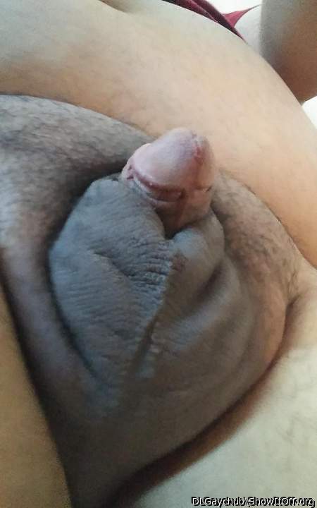 Adult image from DLGaychub