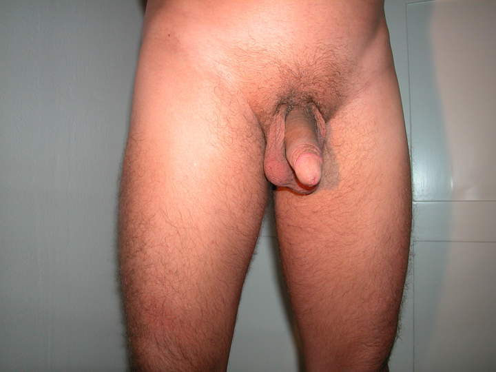 Adult image from Tommotino