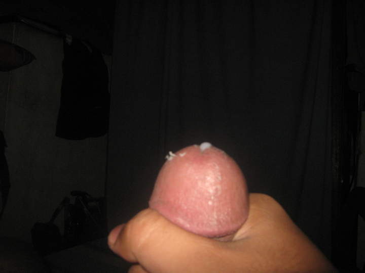 Adult image from bovine