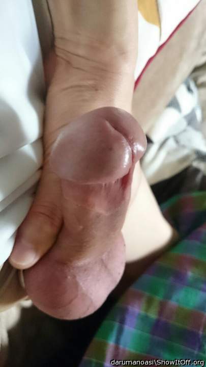 Adult image from darumanoasi