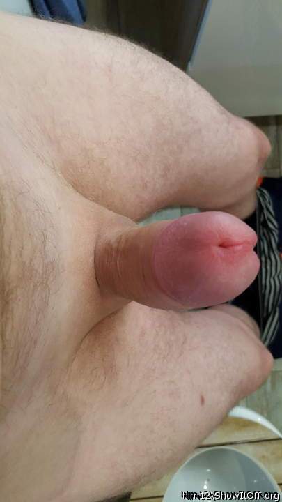 Adult image from hlm12