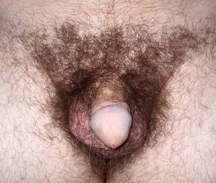 Adult image from billycat