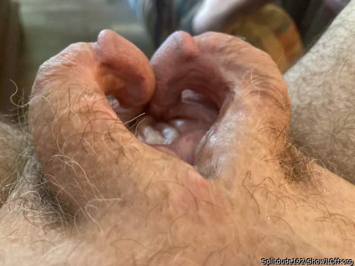 Adult image from Splitdude192