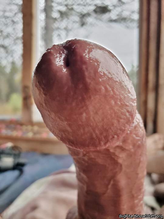 Adult image from BigRita