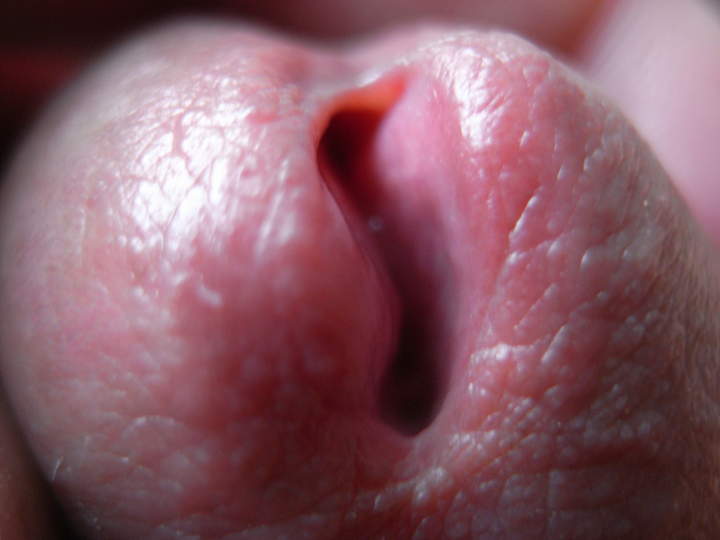 Adult image from eusay1587