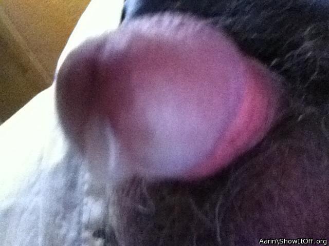 Adult image from Arinn