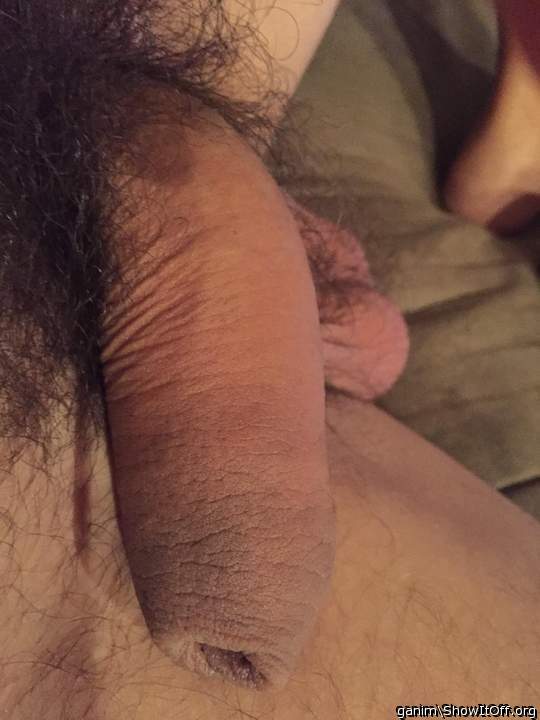 Adult image from ganim