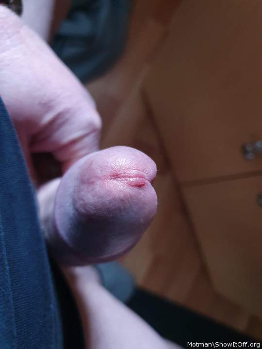 Adult image from Motman