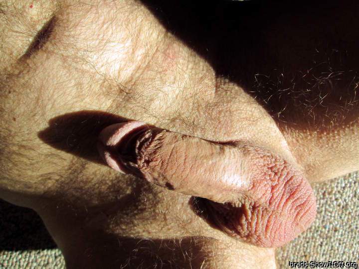 Adult image from brads