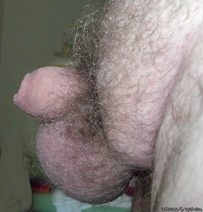 Adult image from balticsea