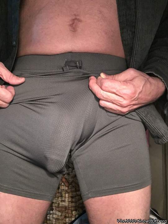 Adult image from Pibo2020