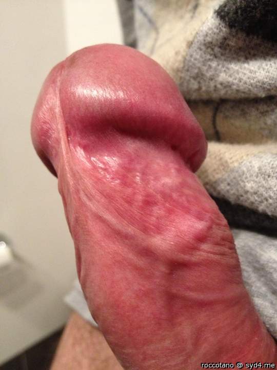 Adult image from roccotano