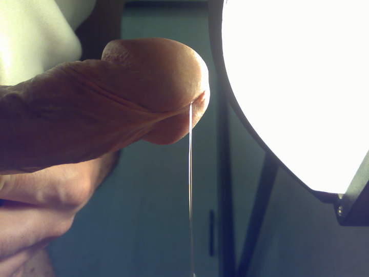 Adult image from roccotano