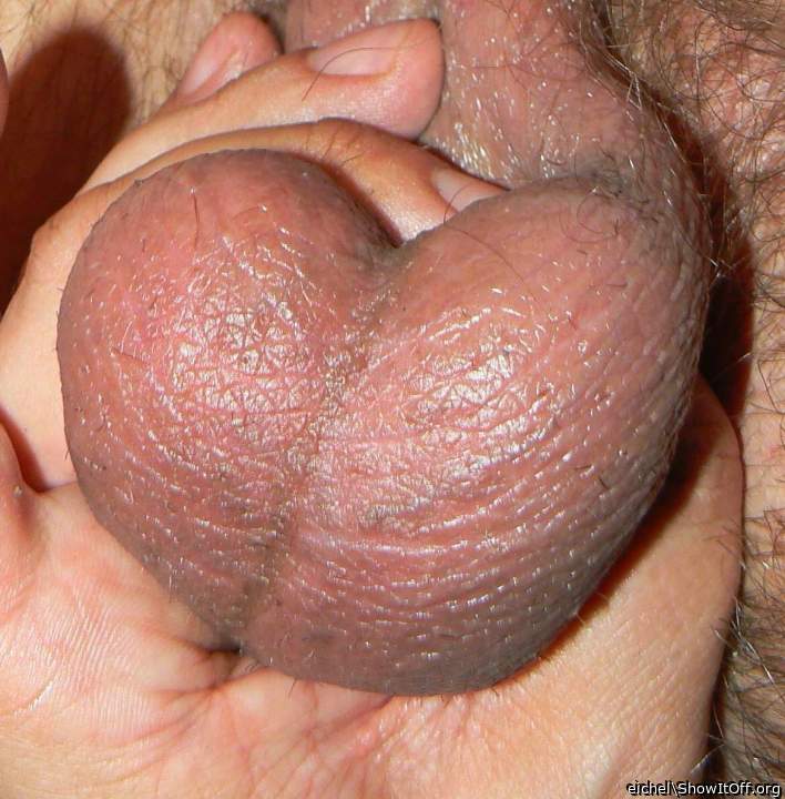 Adult image from eichel