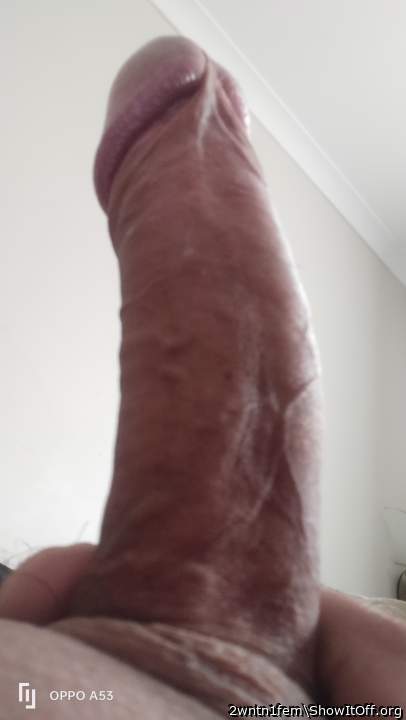 Wow! I�d love to ride that!